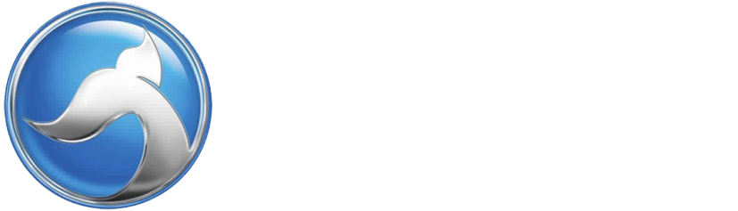 صيانة وايت ويل